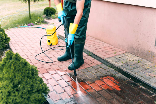 Best Soft Washing for Delicate Surfaces in Madelia, MN
